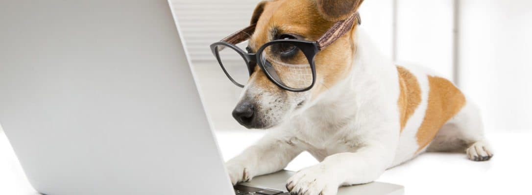 best-premium-wordpress-plugins