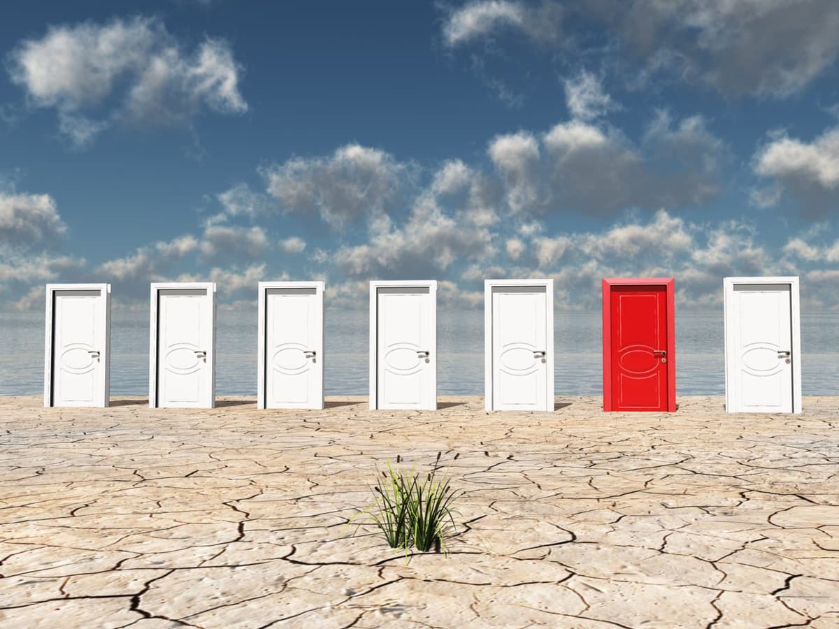 themes-now-allowed-to-use-the-wp-rest-api-plugin-but-is-this-a-good-thing