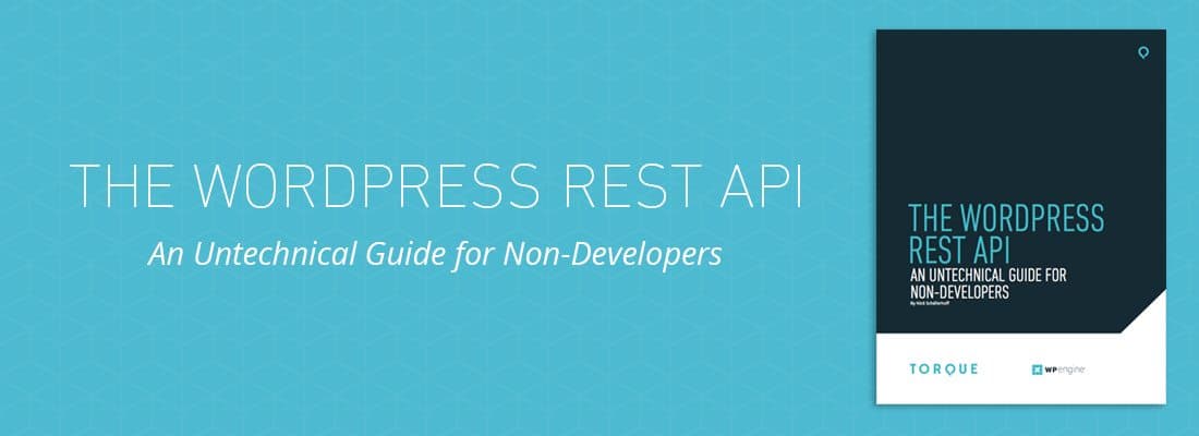 an-untechnical-guide-to-the-wp-rest-api-a-free-white-paper-for-non-developers