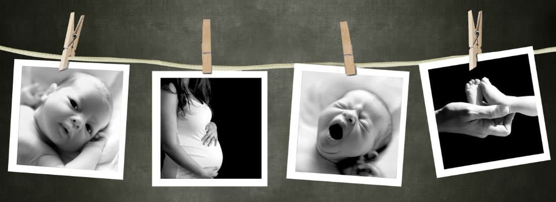 5-best-themes-photographers