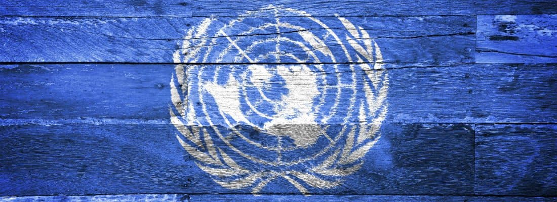 interview-open-camps-co-organizer-forest-mars