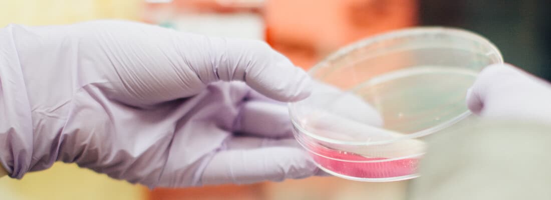 discovering-themes-plugins-on-wordpress-site