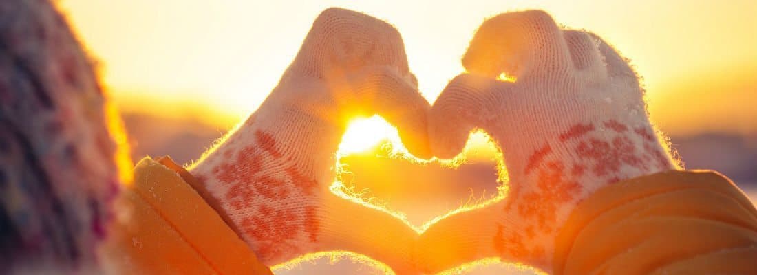 wordpress-nonprofit-website