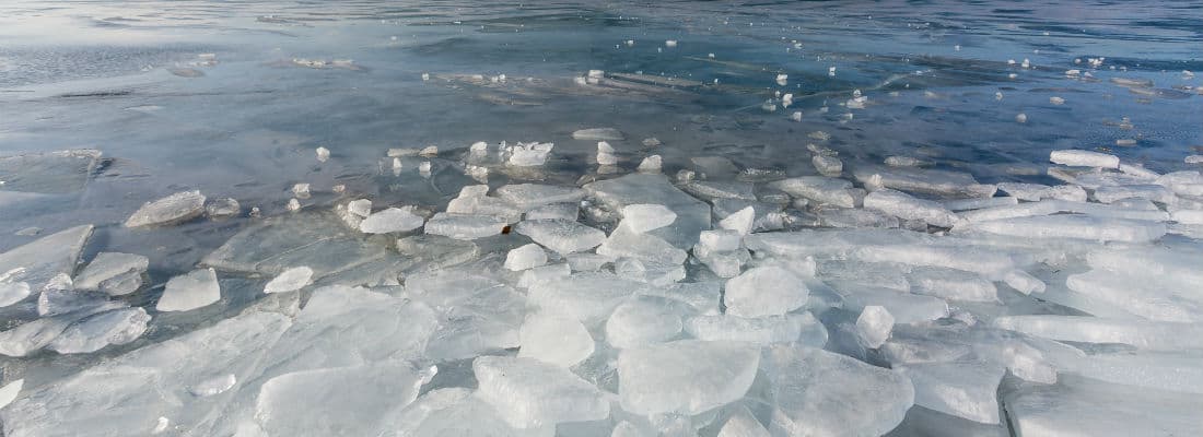 icebreaking-the-wordpress-database