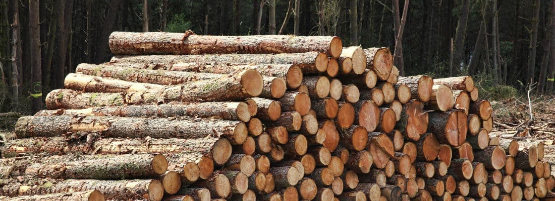 logging-wordpress-bugs-wonolog