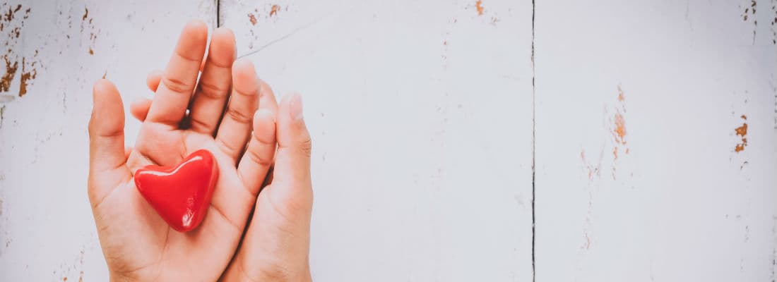 donatewc-working-send-people-wordcamps