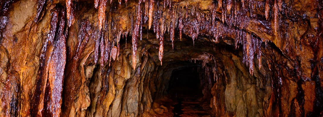 the-hidden-gems-of-wordpress