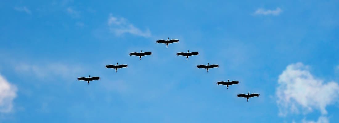 gutenberg-migration-guide