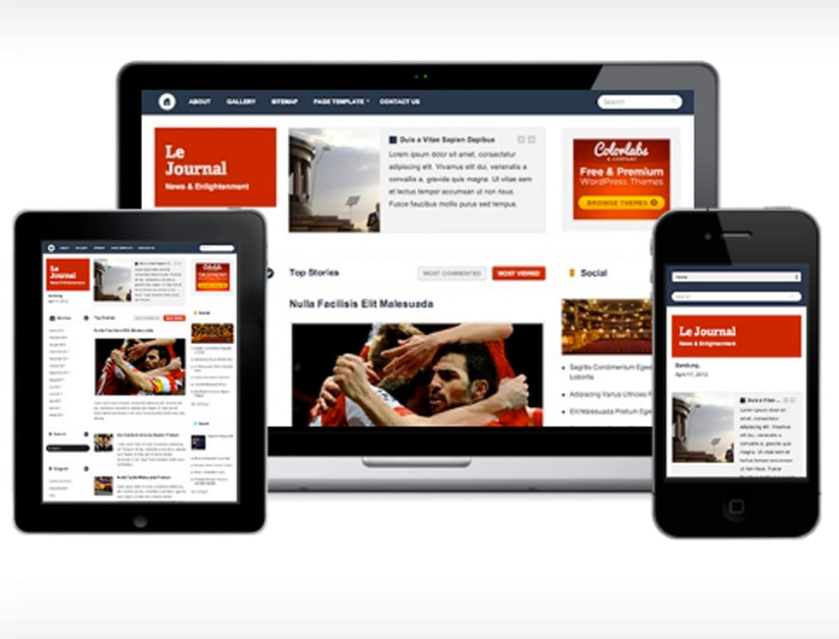 colorlabs-company-versatile-themes-with-a-support