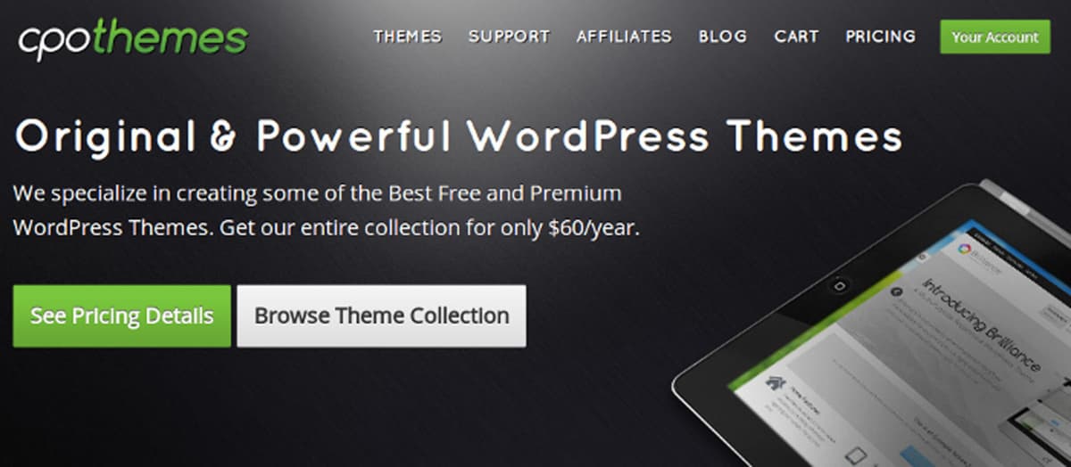 cpo-themes-budget-friendly-themes-sans-variety