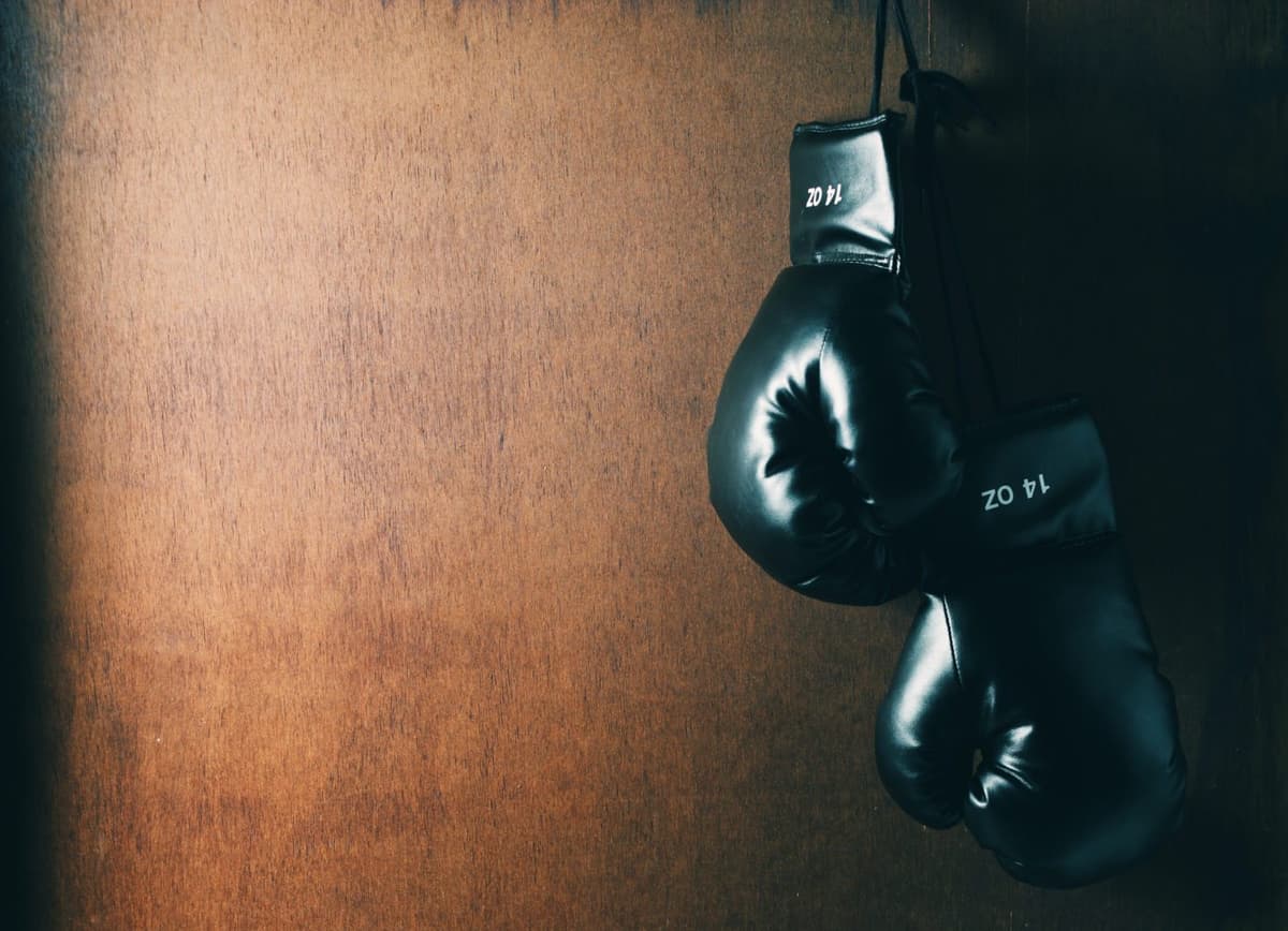 paypal-stripe-payment-processor-use