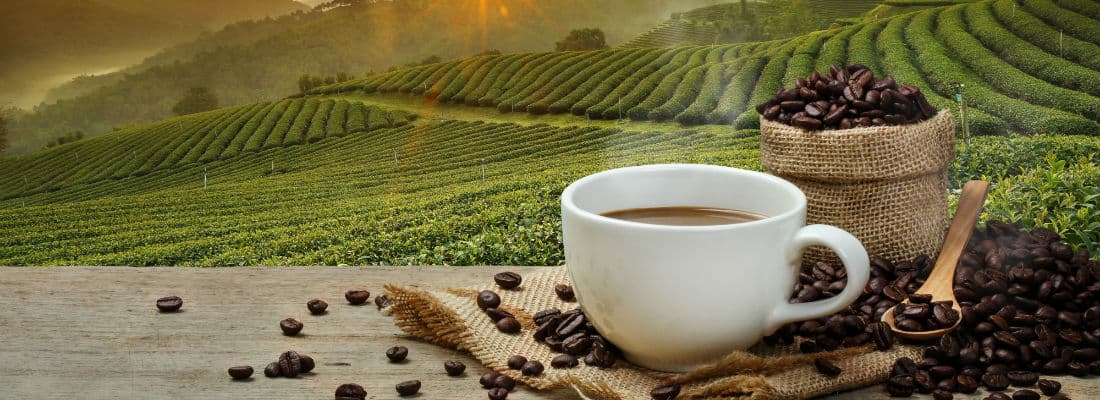 lessons-from-starbucks-on-getting-paid-more