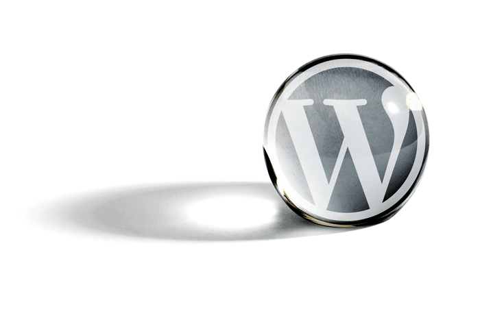 where-do-you-see-the-future-of-wordpress