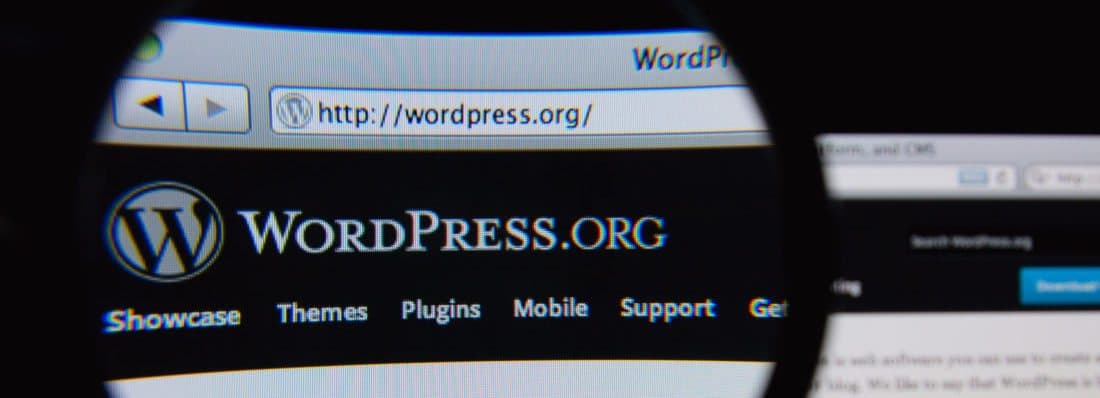 early-look-new-wordpress-org-get-wordpress-page