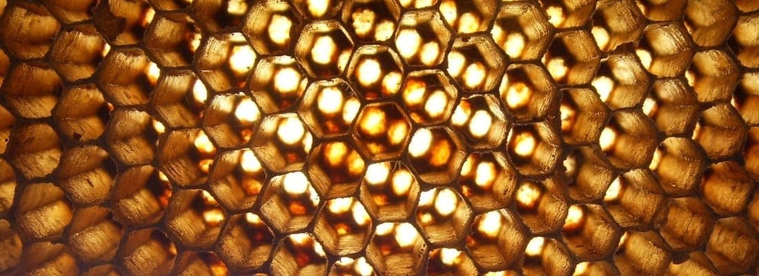 5-world-class-apis-consider-integrating-next-wordpress-project