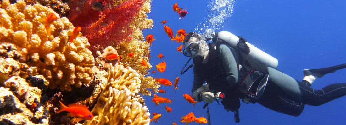 want-learn-javascript-deeply-choose-right-framework