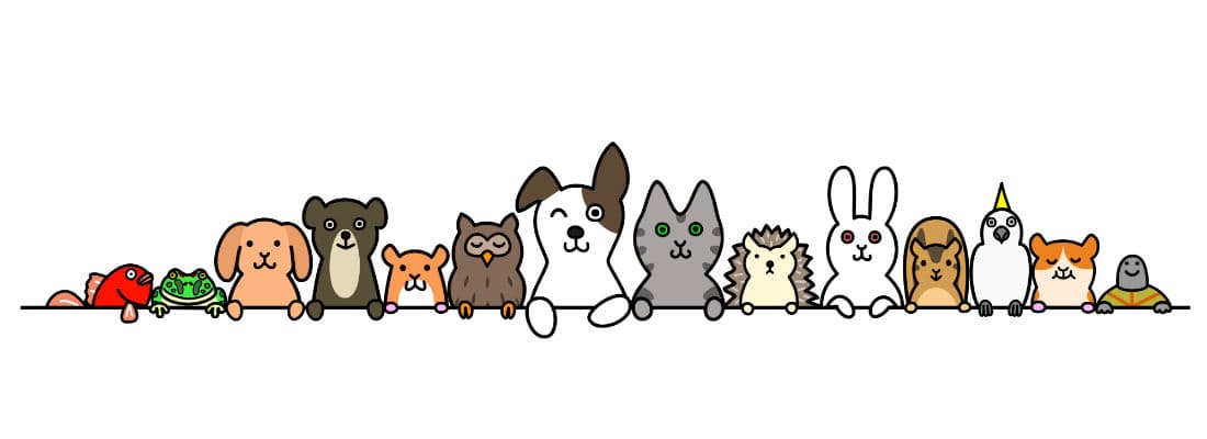 secret-lives-pets-wordpress