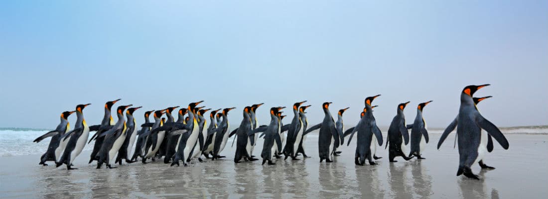 four-strategies-adding-custom-endpoints-wordpress-site