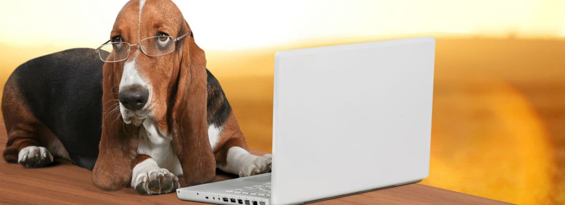 using-easy-digital-downloads-to-create-ecommerce-saas-in-wordpress