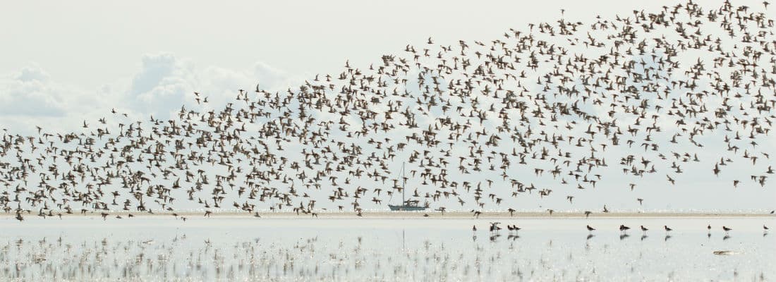 why-wordpress-migrations-need-an-overhaul