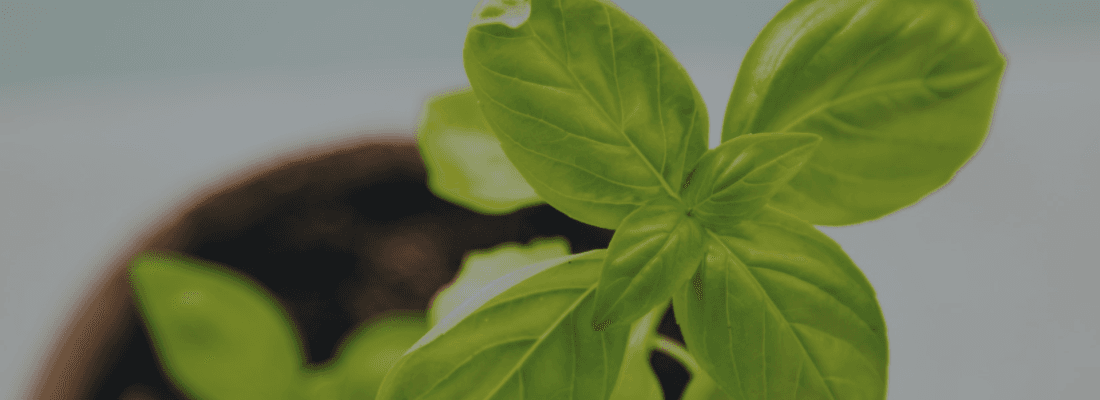 wordpress-evolved-2017