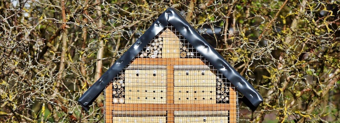 install-wordpress-subdomain