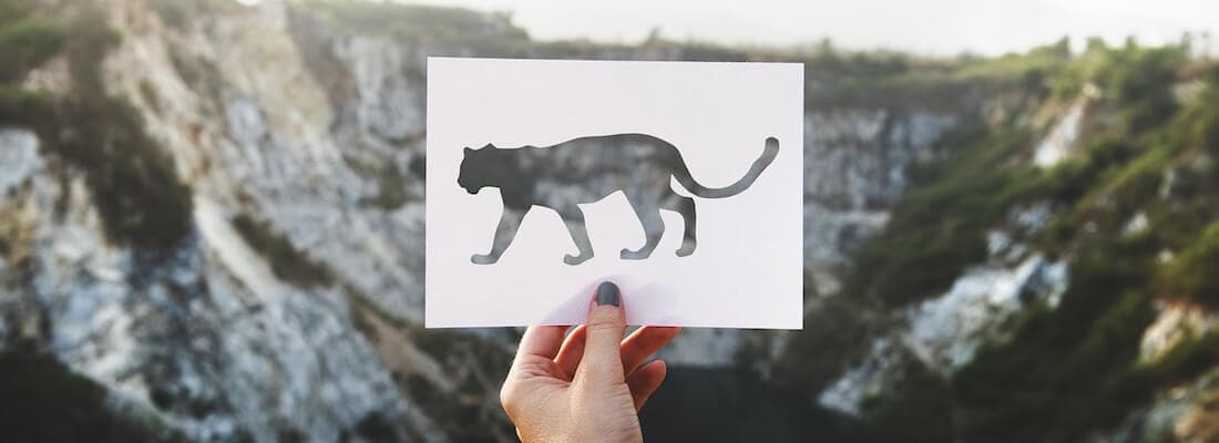 create-custom-single-post-template