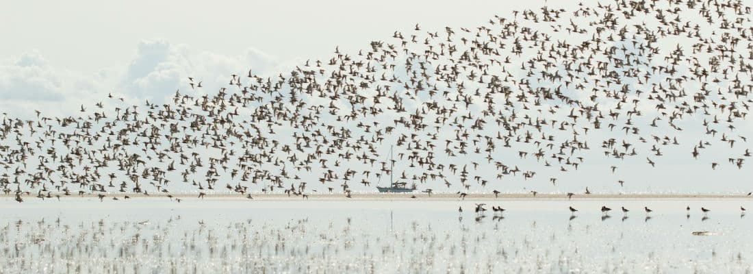 the-down-and-dirty-way-to-migrate-a-wordpress-website