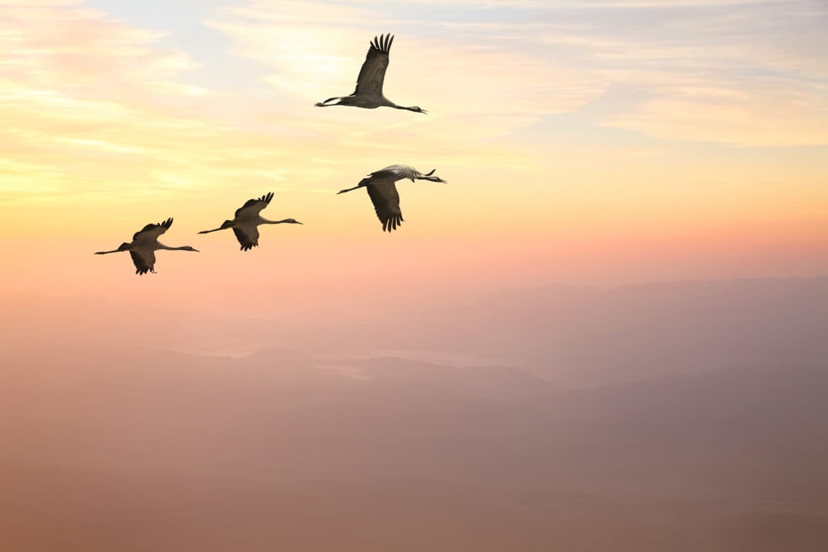 benefits-of-migrating-from-sharepoint-to-wordpress